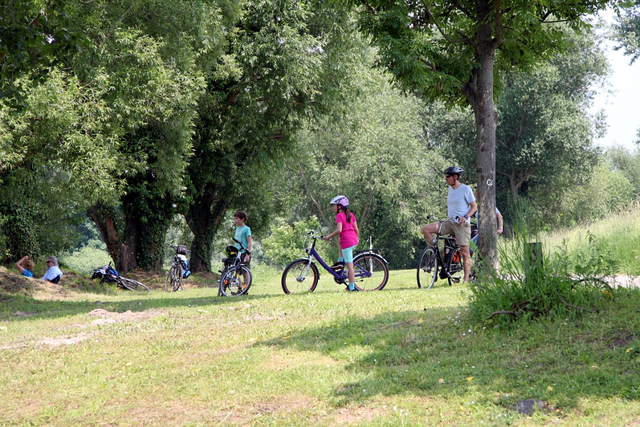 Sonniges GrünGürtelRadeln Meldung Radfahren in